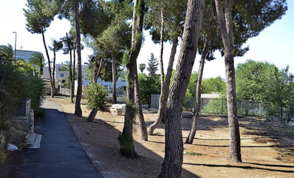 אדל רומס בירושלים 13